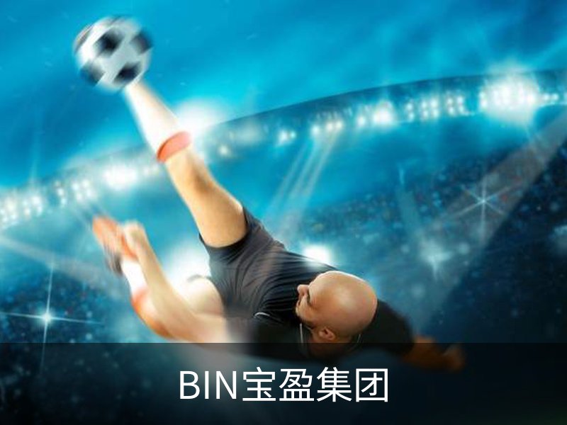 BIN宝盈集团品牌故事